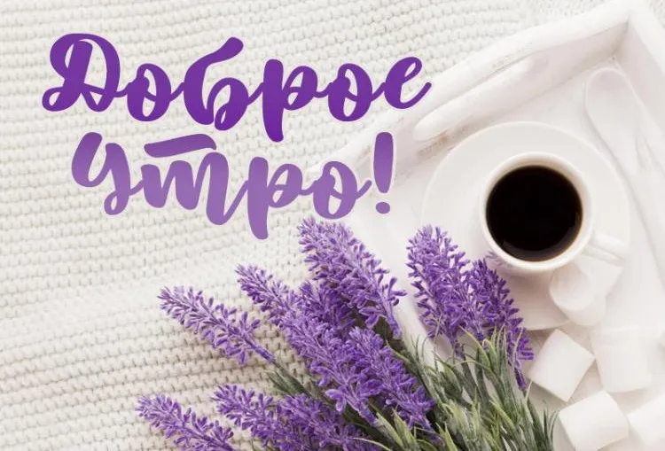 Картинки с добрым утром